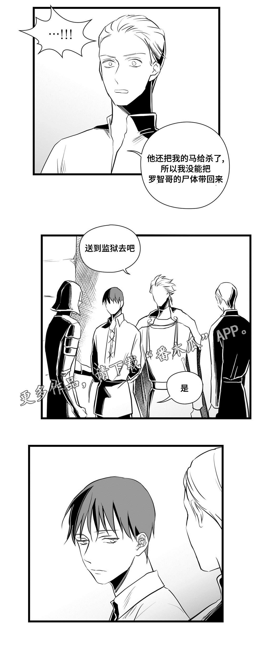《巫师与王子》第30章监狱 第3页