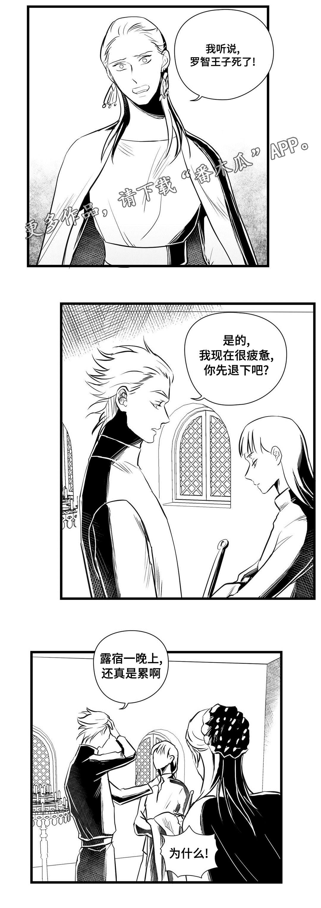《巫师与王子》第30章监狱 第6页