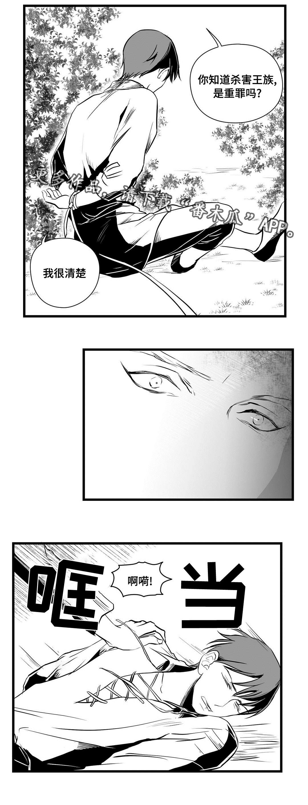 《巫师与王子》第28章收获 第10页