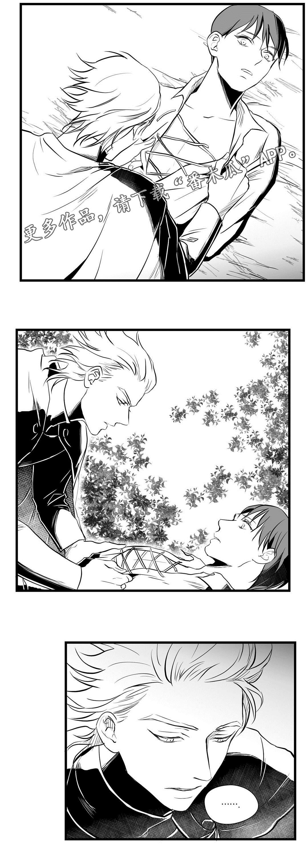 《巫师与王子》第28章收获 第11页