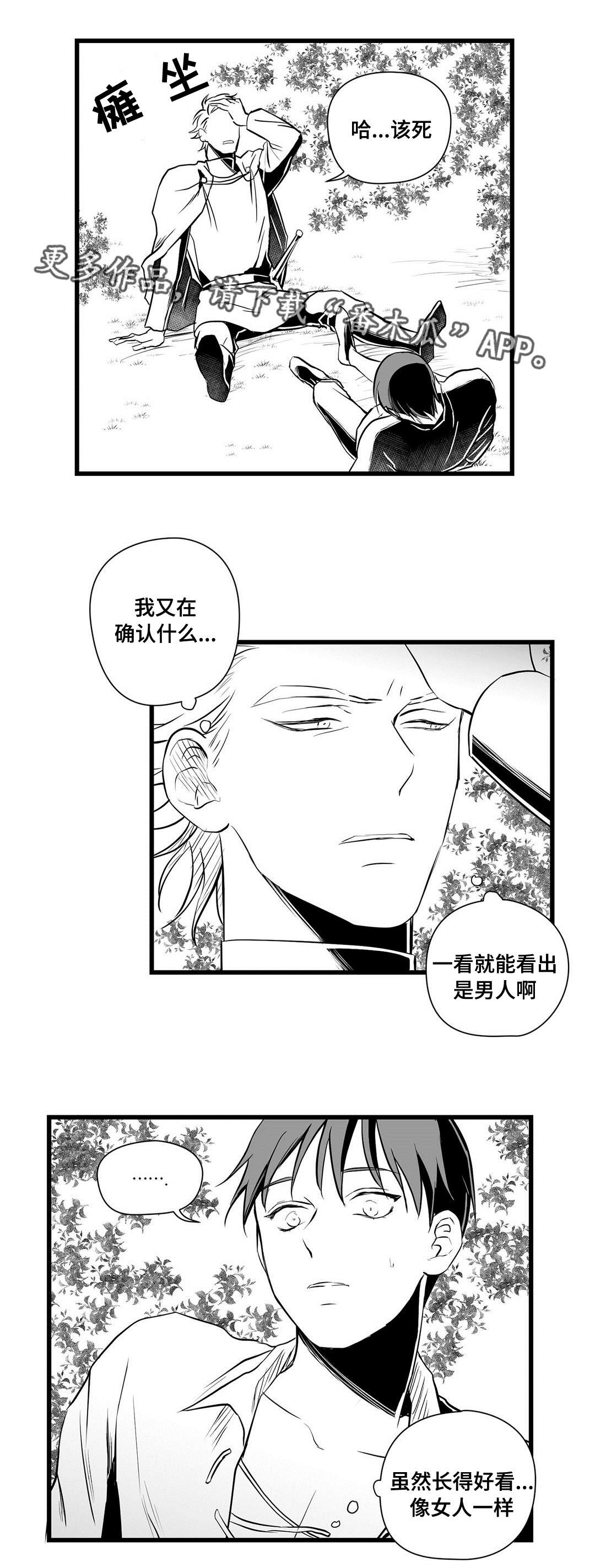 《巫师与王子》第28章收获 第12页