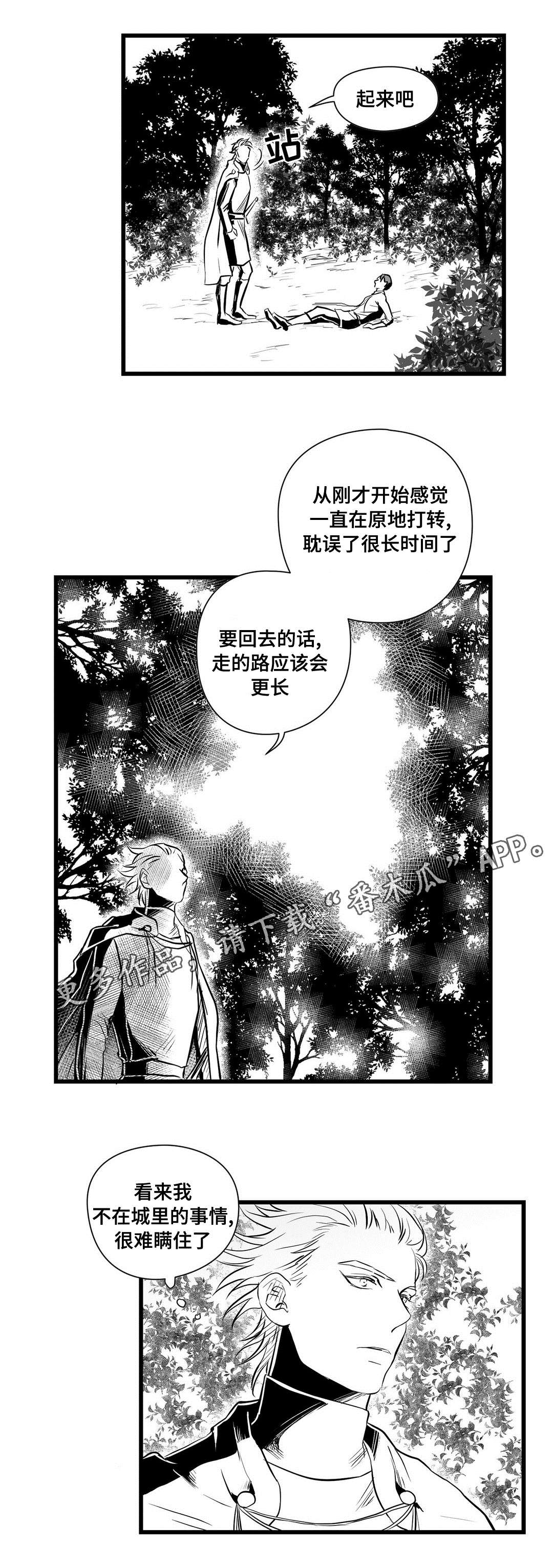 《巫师与王子》第28章收获 第13页
