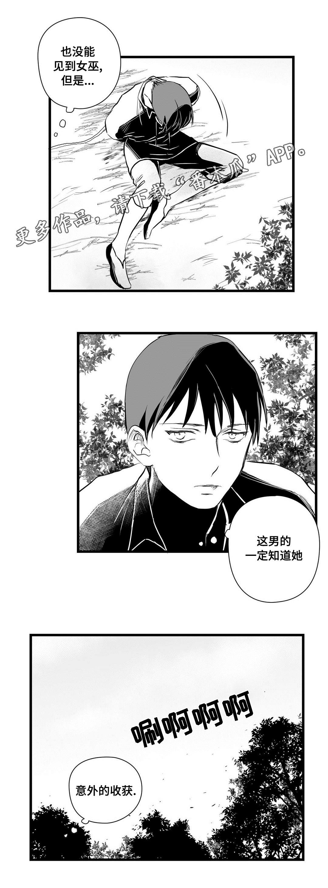 《巫师与王子》第28章收获 第14页