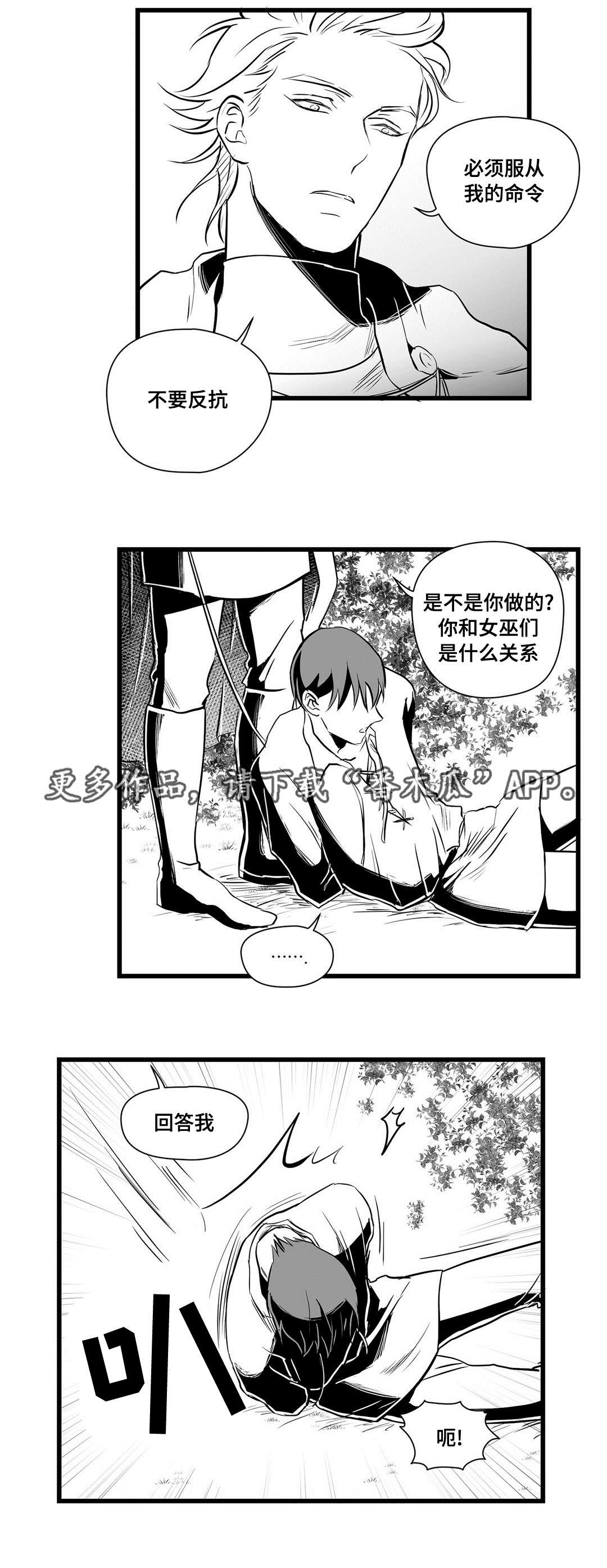 《巫师与王子》第28章收获 第5页