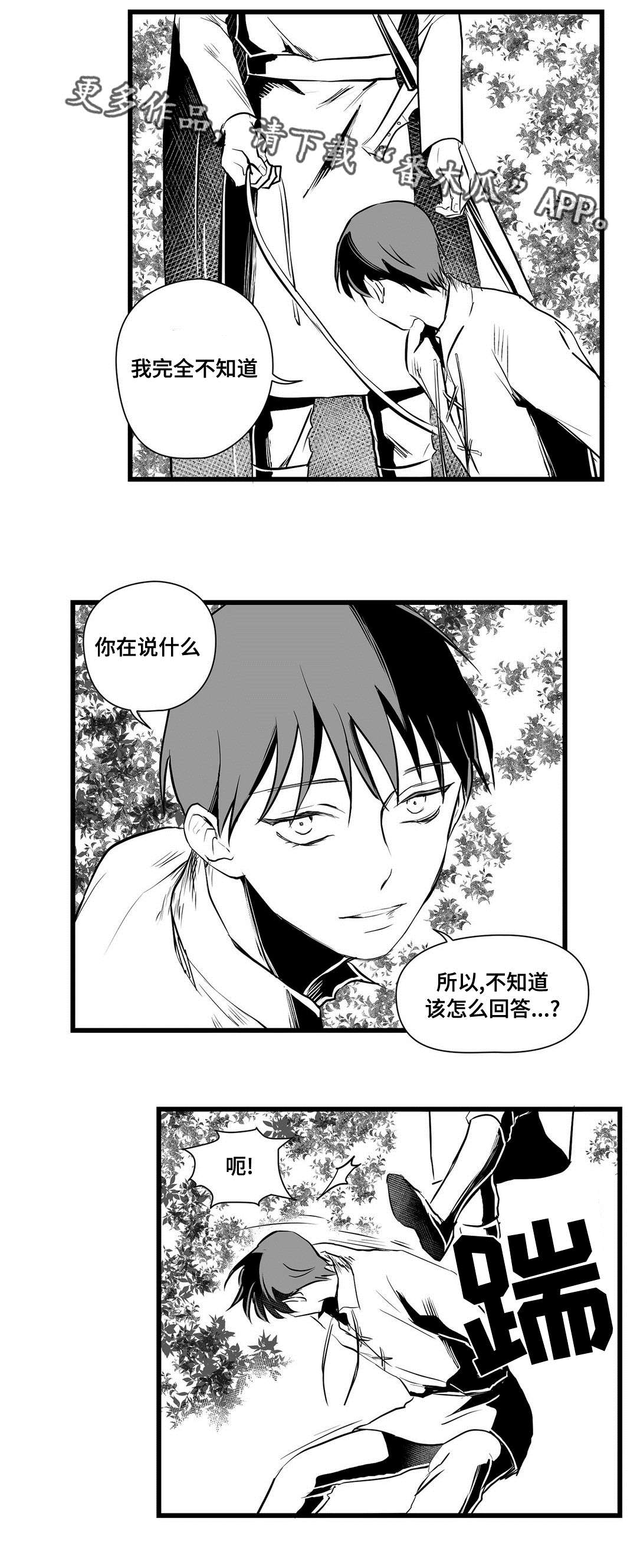 《巫师与王子》第28章收获 第6页