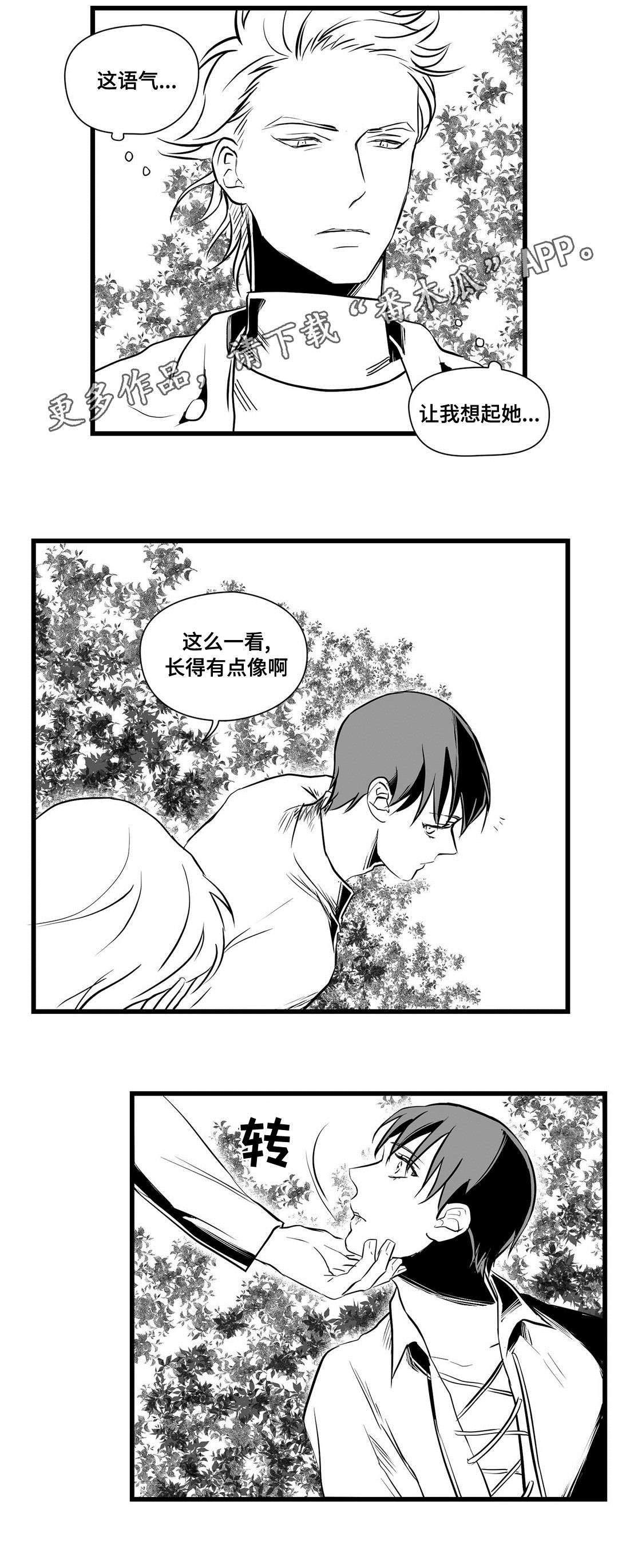 《巫师与王子》第28章收获 第7页