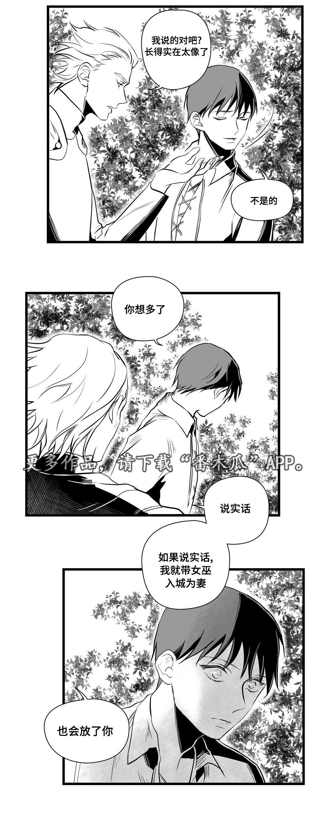 《巫师与王子》第28章收获 第9页