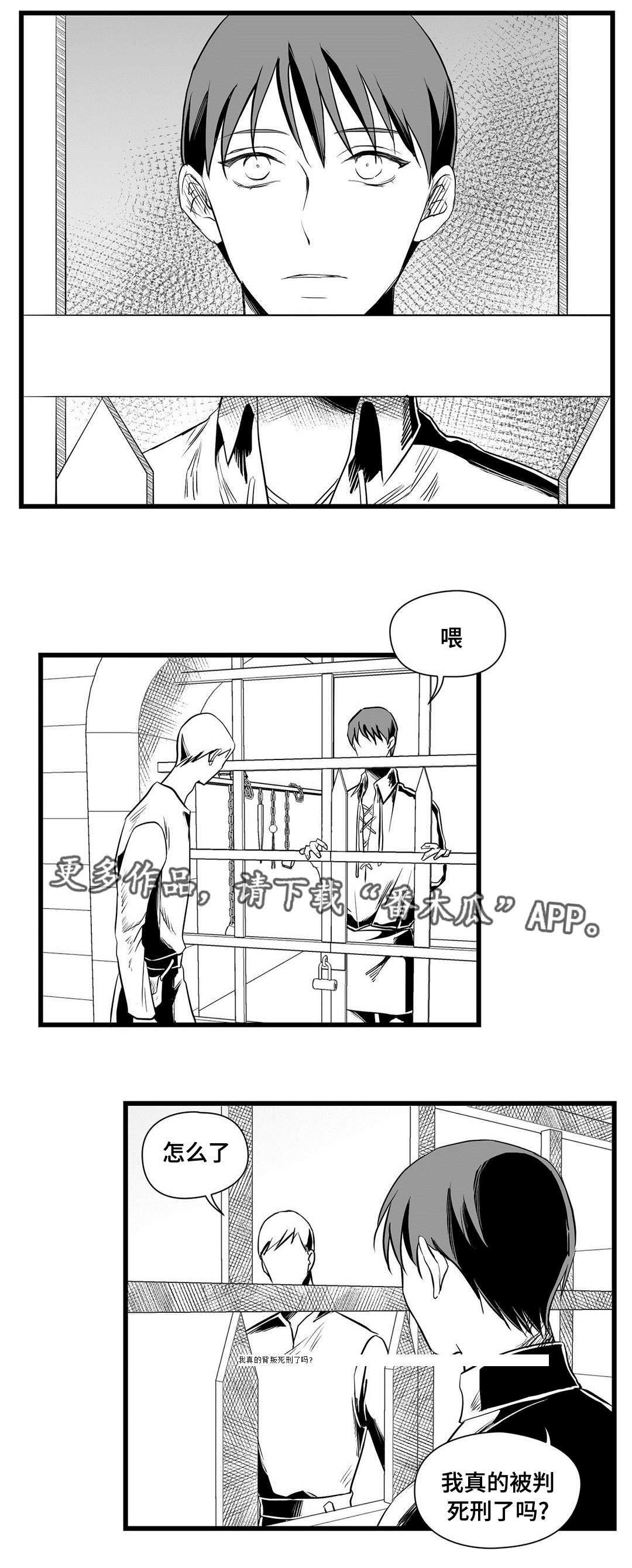 《巫师与王子》第32章猜想 第10页