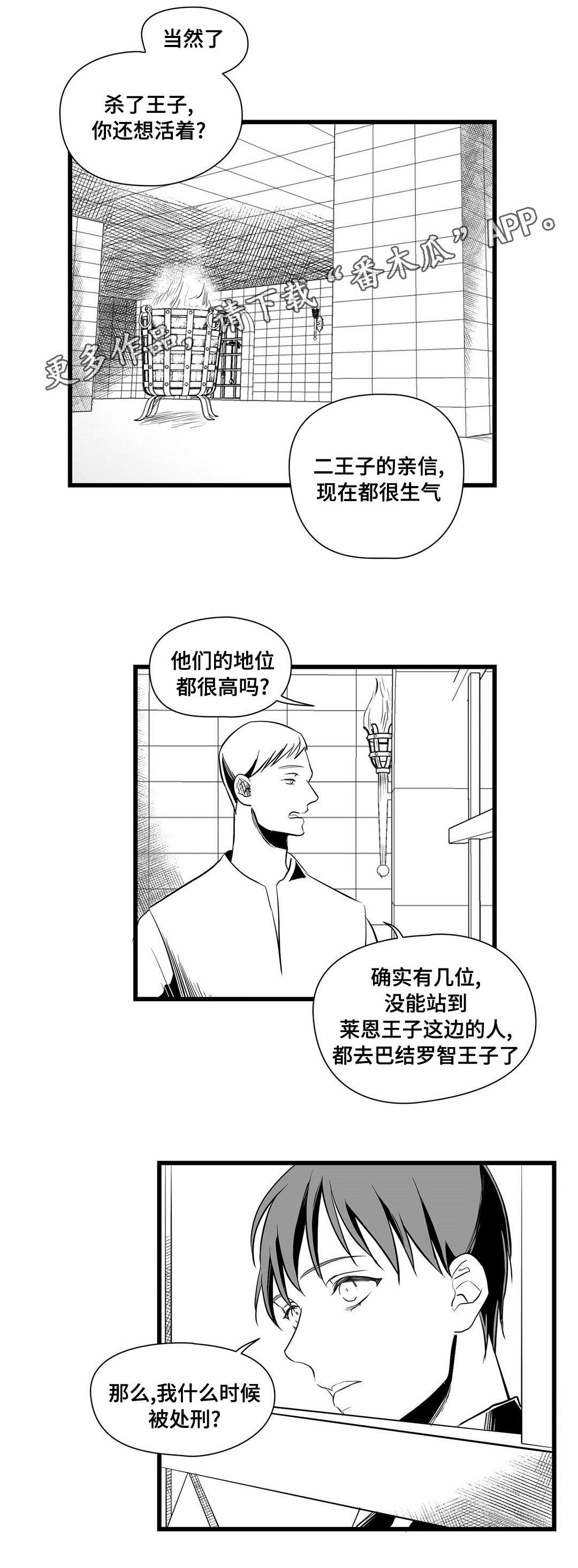 《巫师与王子》第32章猜想 第11页