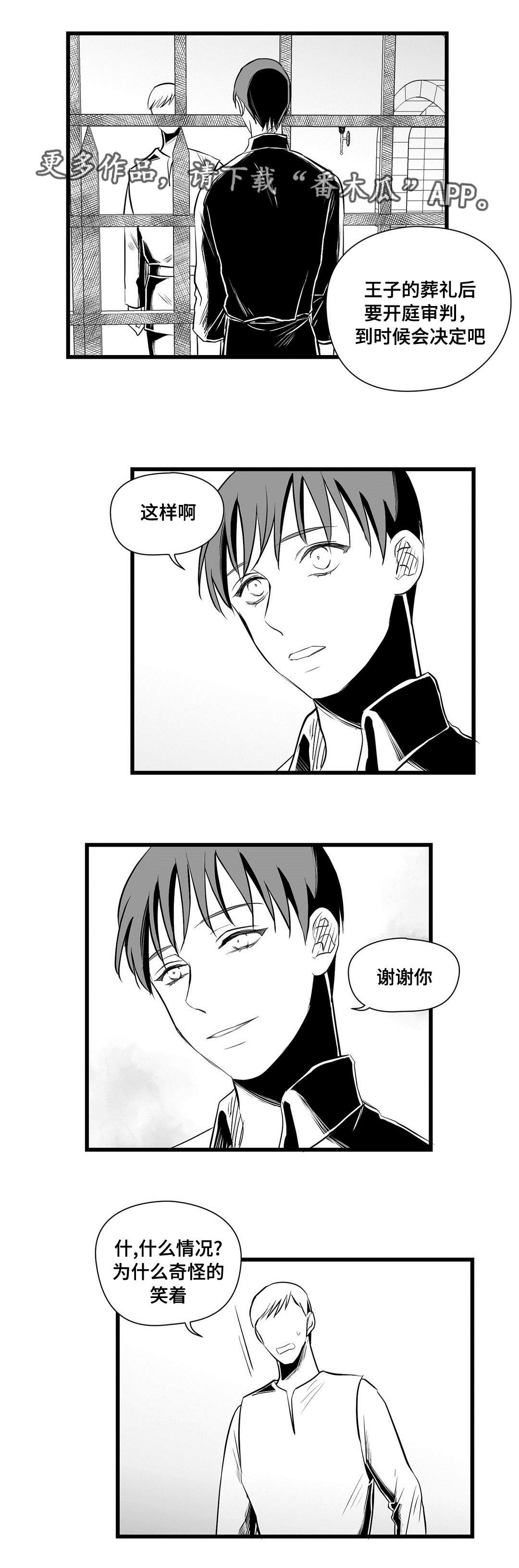 《巫师与王子》第32章猜想 第12页