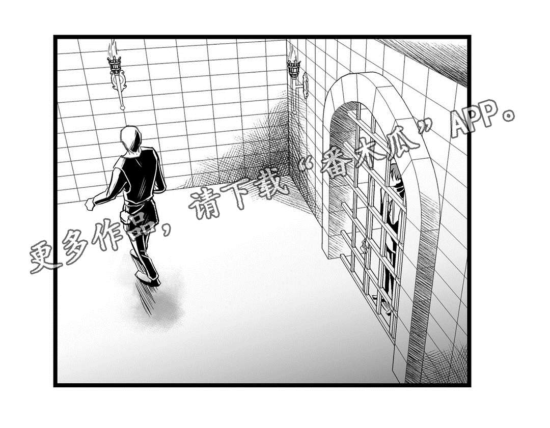 《巫师与王子》第32章猜想 第13页