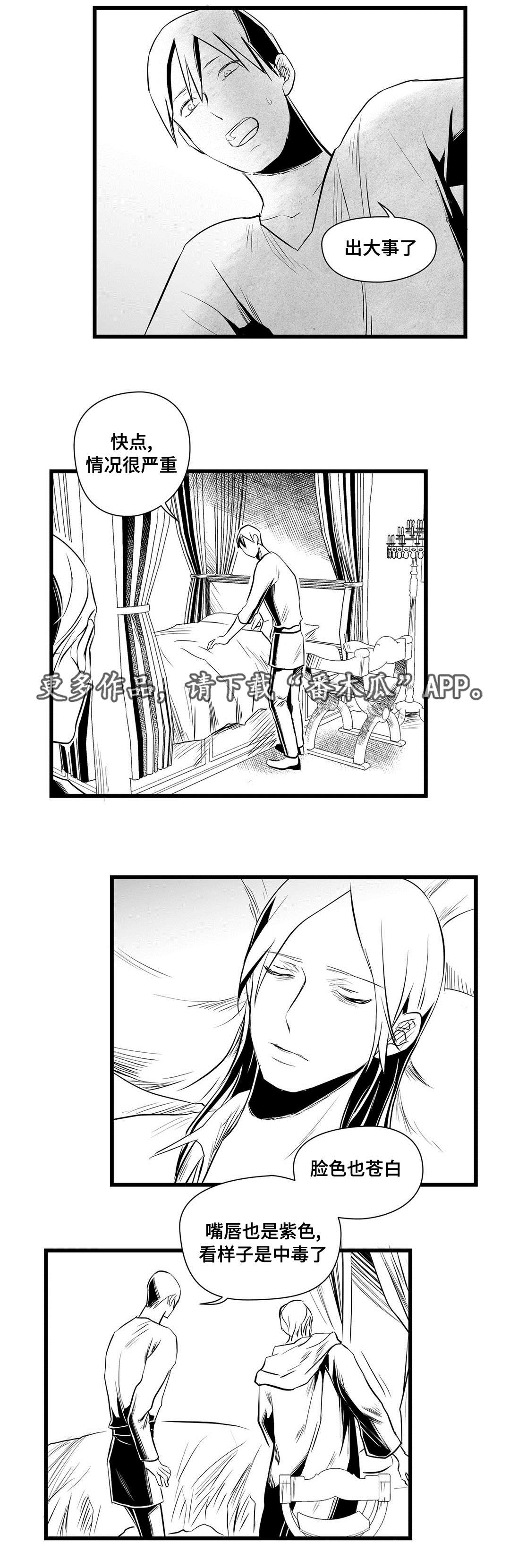 《巫师与王子》第32章猜想 第14页