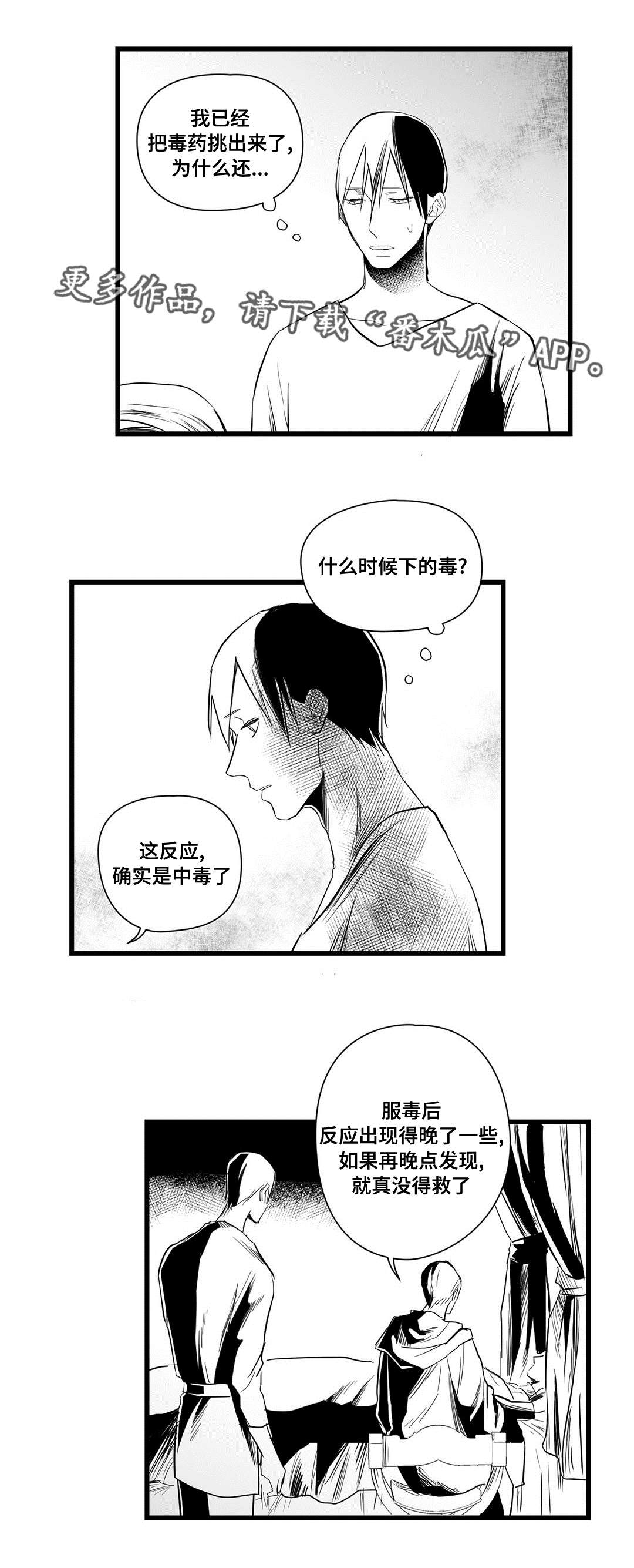《巫师与王子》第32章猜想 第15页
