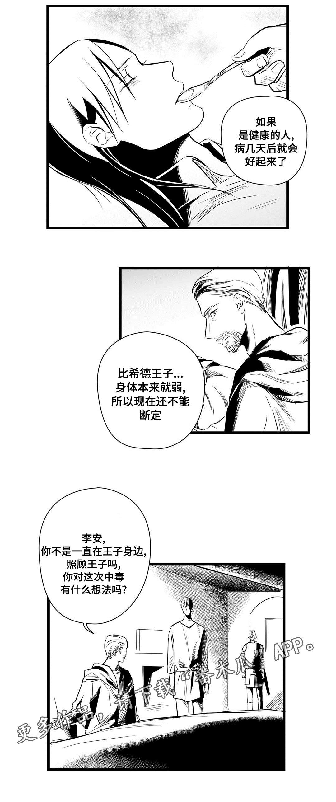 《巫师与王子》第32章猜想 第16页