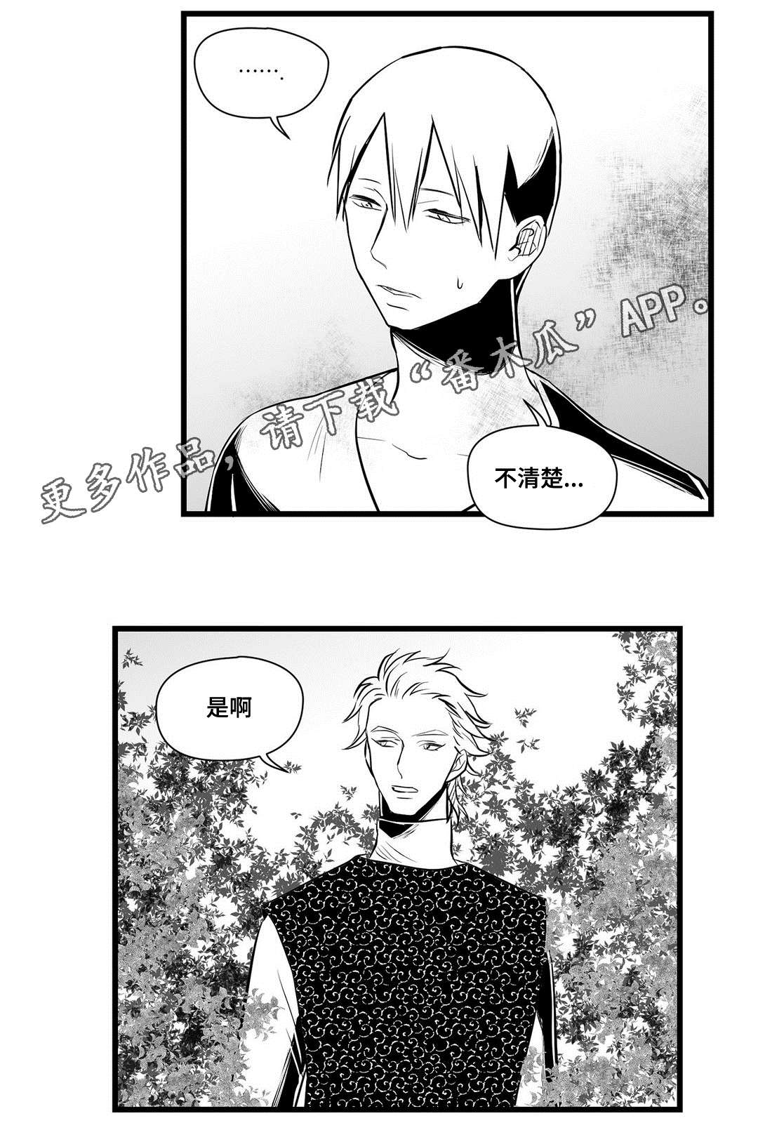 《巫师与王子》第32章猜想 第17页