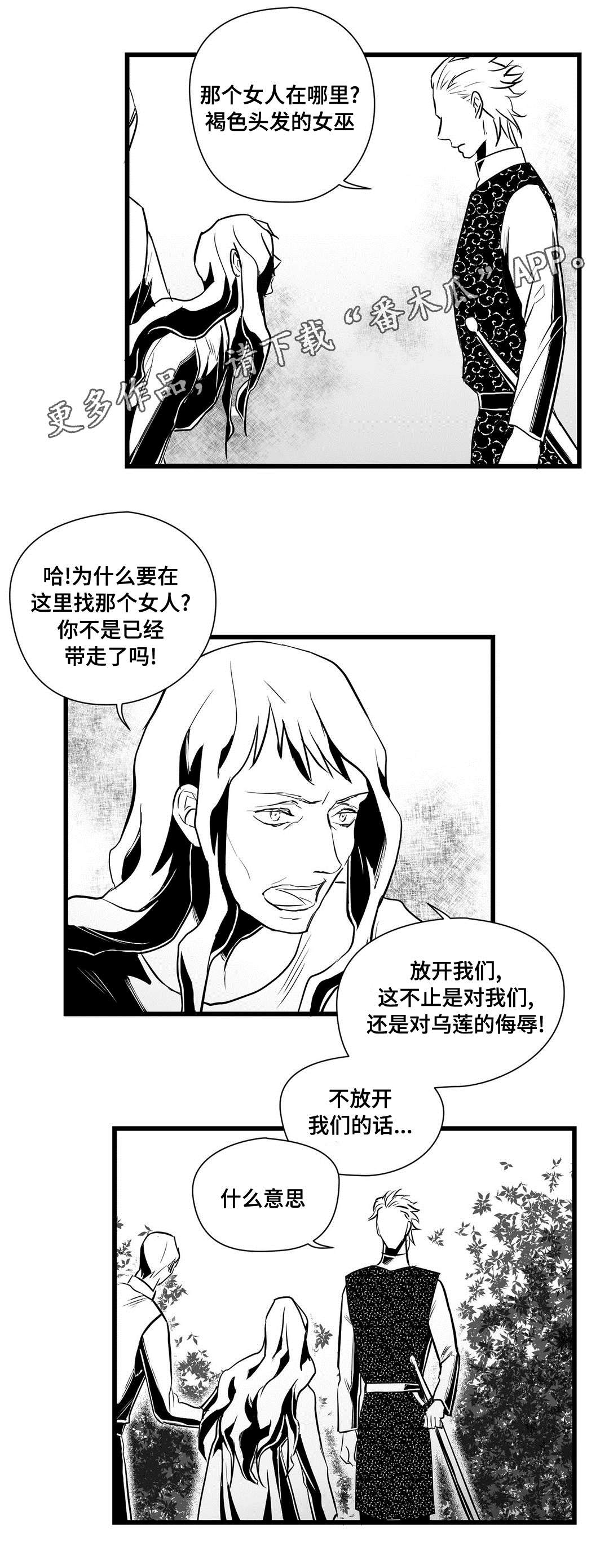 《巫师与王子》第32章猜想 第20页