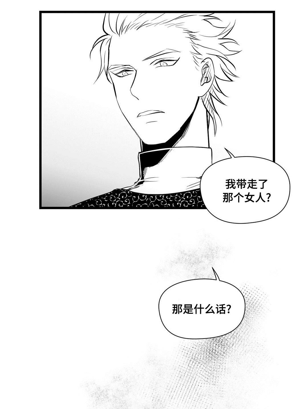 《巫师与王子》第32章猜想 第21页