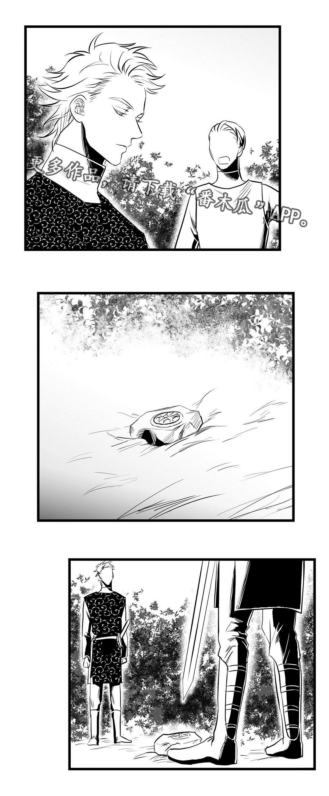 《巫师与王子》第32章猜想 第2页