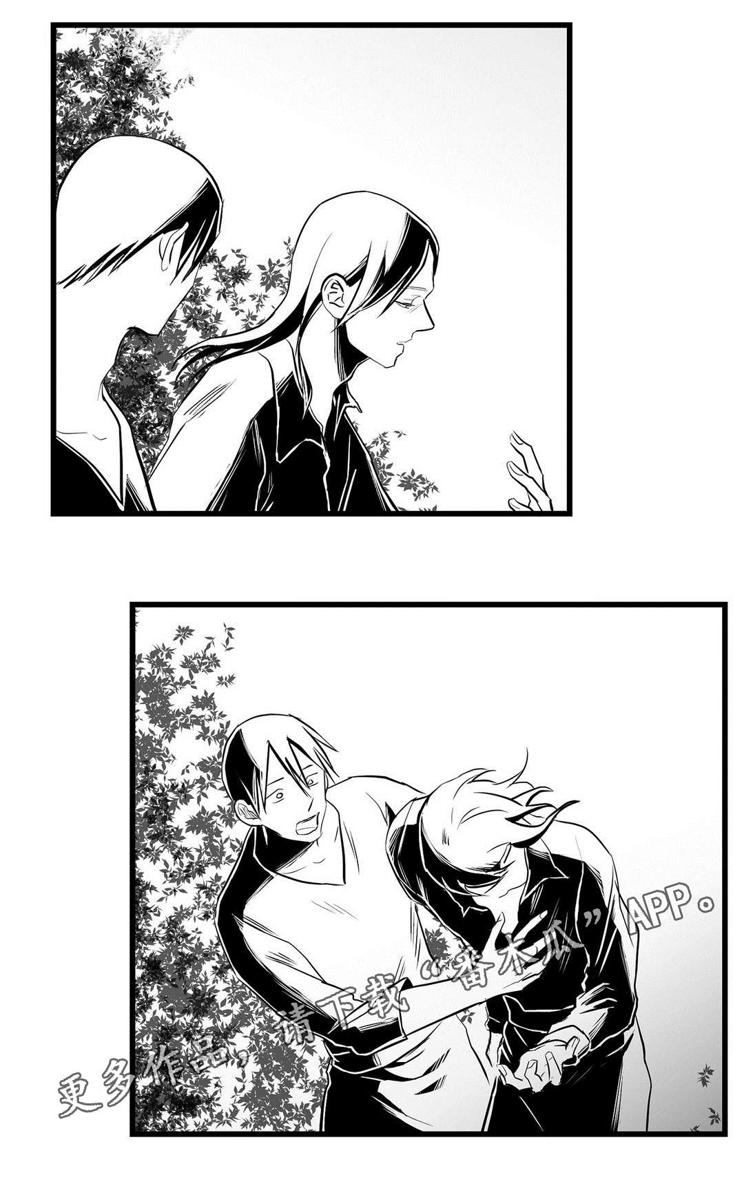 《巫师与王子》第32章猜想 第4页