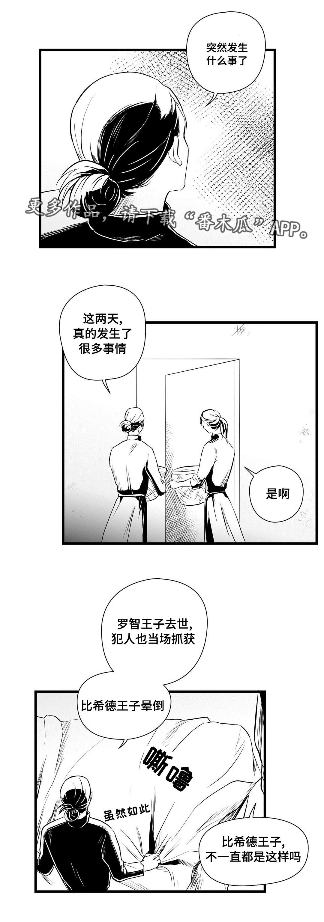 《巫师与王子》第32章猜想 第5页