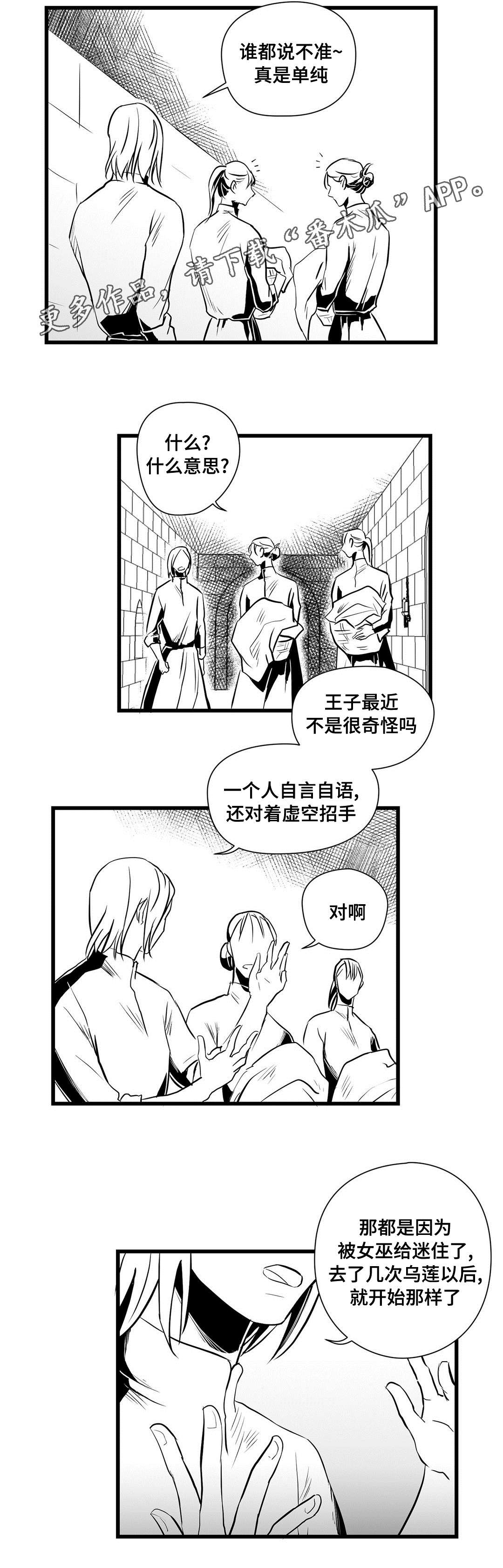 《巫师与王子》第32章猜想 第7页