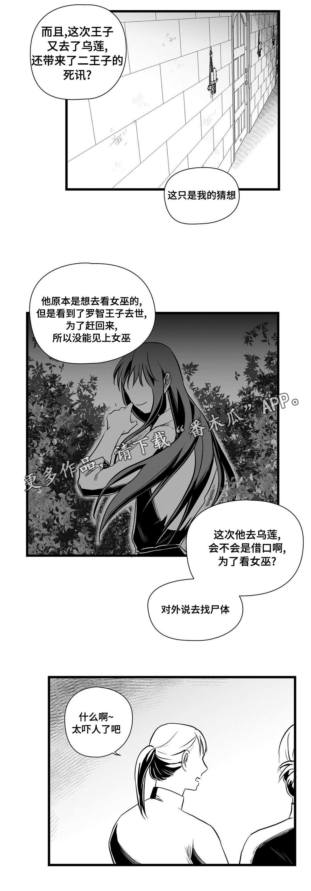 《巫师与王子》第32章猜想 第8页