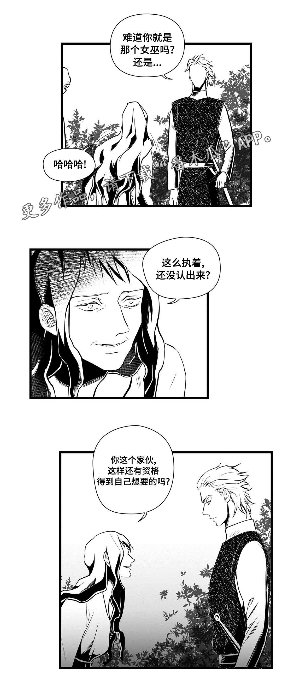 《巫师与王子》第33章来了啊 第1页