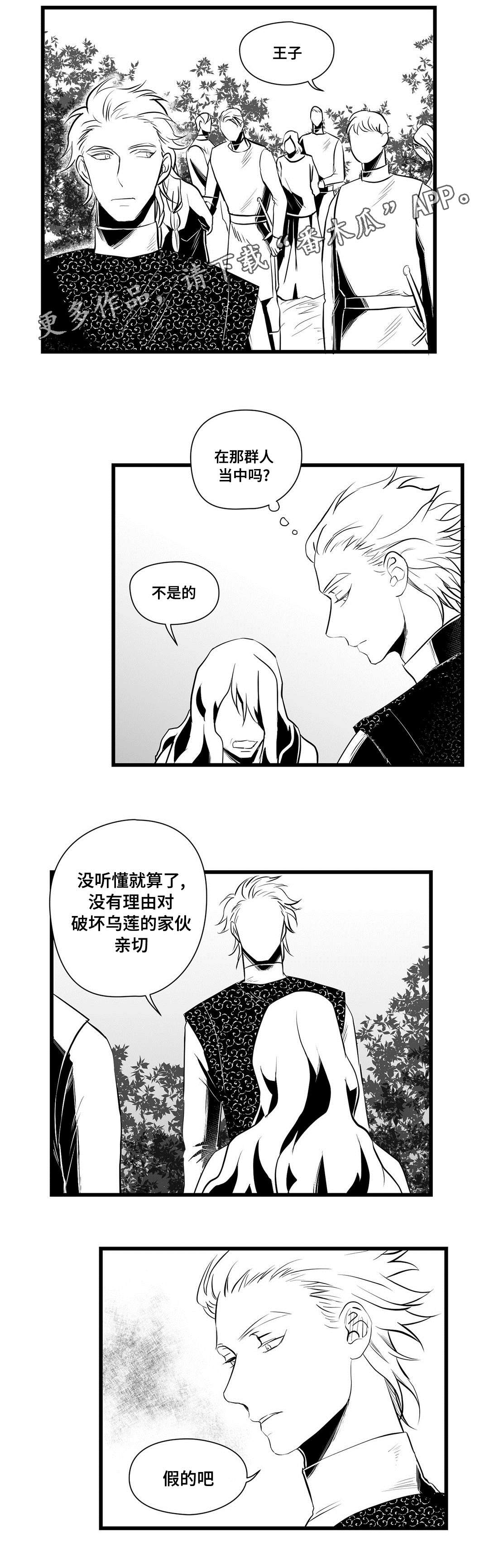 《巫师与王子》第33章来了啊 第2页