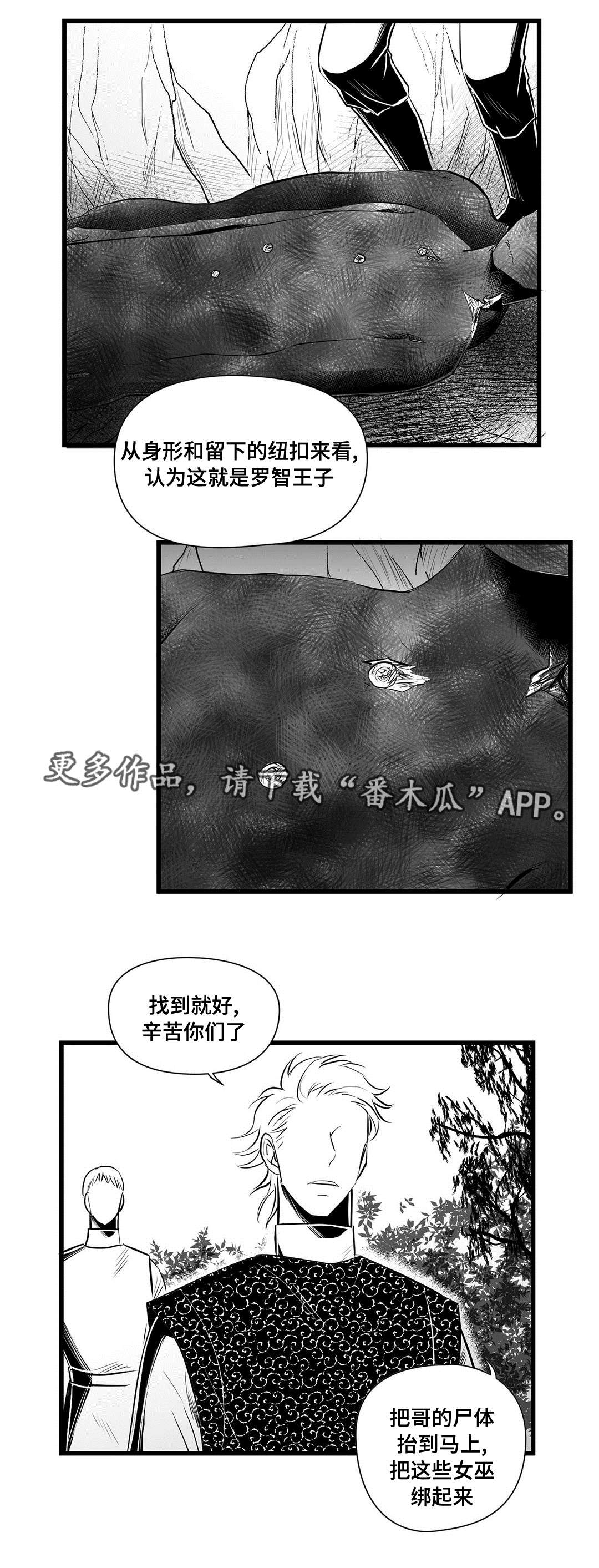 《巫师与王子》第33章来了啊 第5页