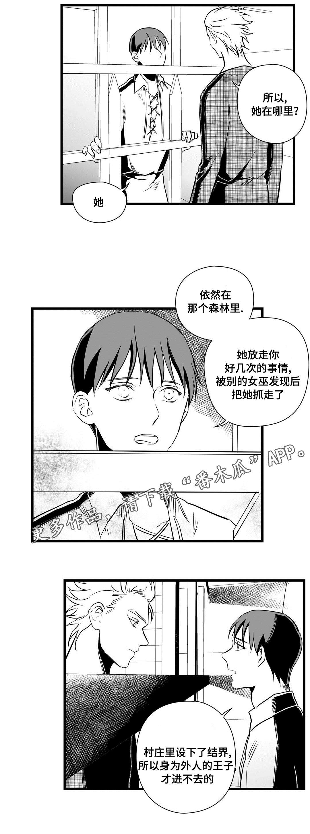 《巫师与王子》第31章那个女人 第10页