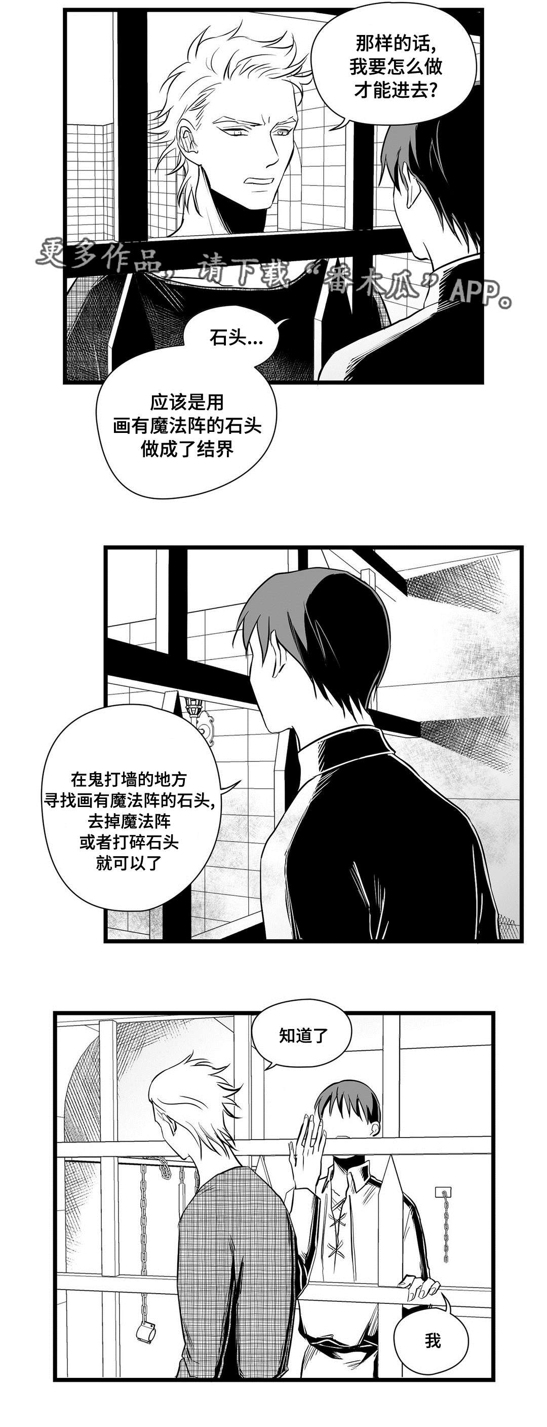 《巫师与王子》第31章那个女人 第11页