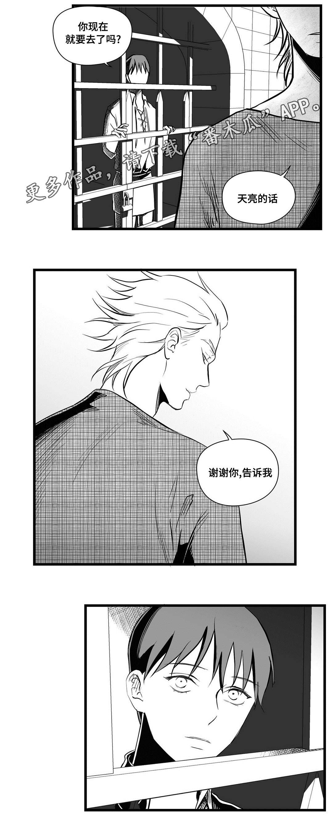 《巫师与王子》第31章那个女人 第12页