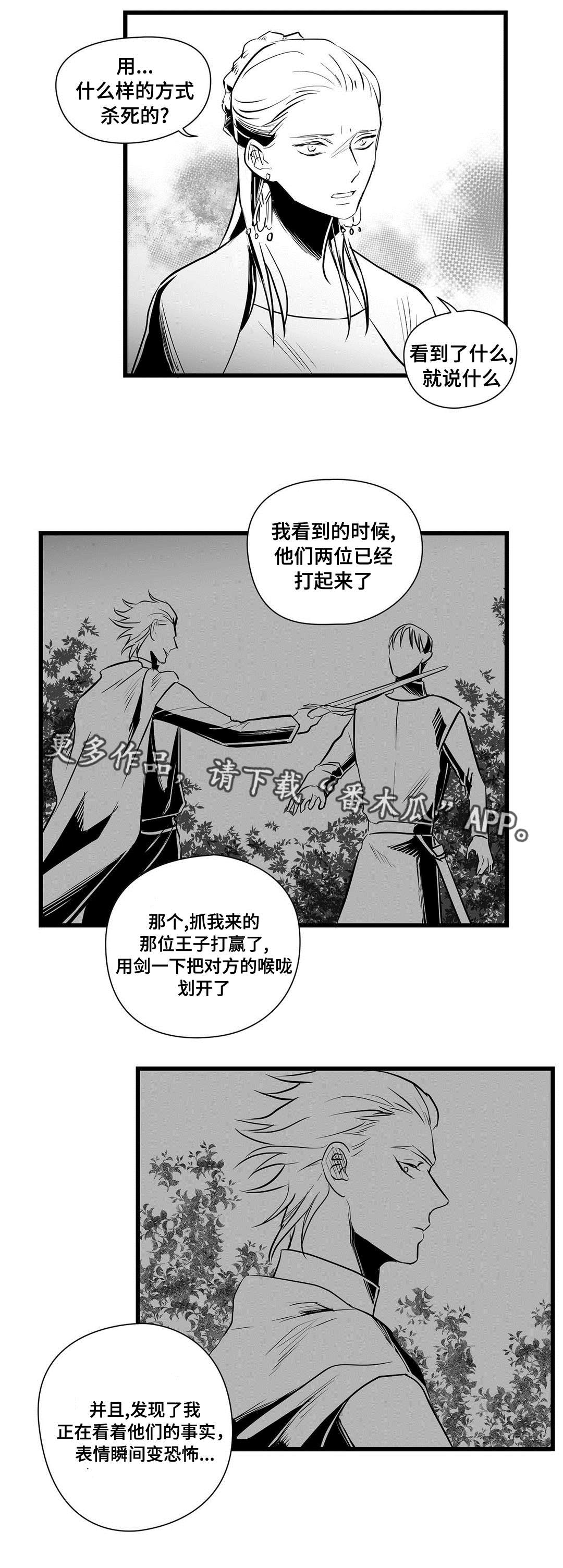 《巫师与王子》第31章那个女人 第1页