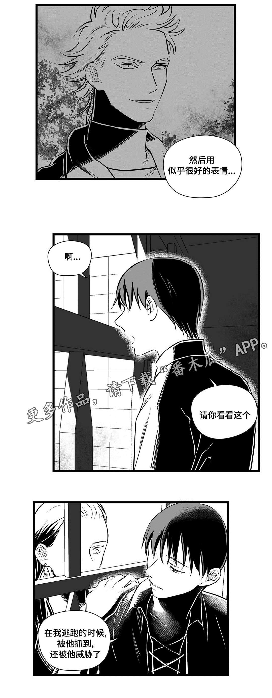 《巫师与王子》第31章那个女人 第2页