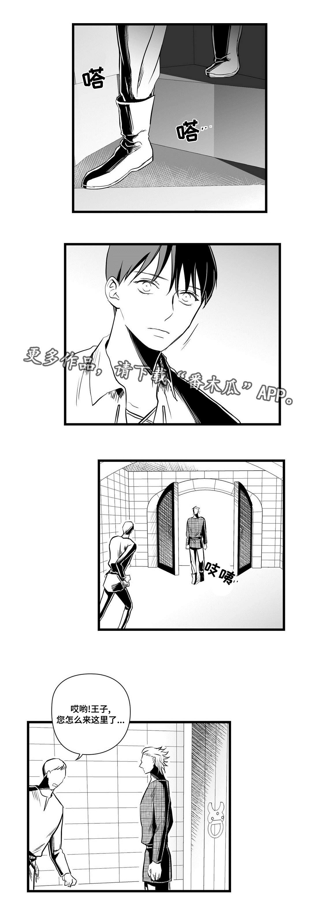 《巫师与王子》第31章那个女人 第6页