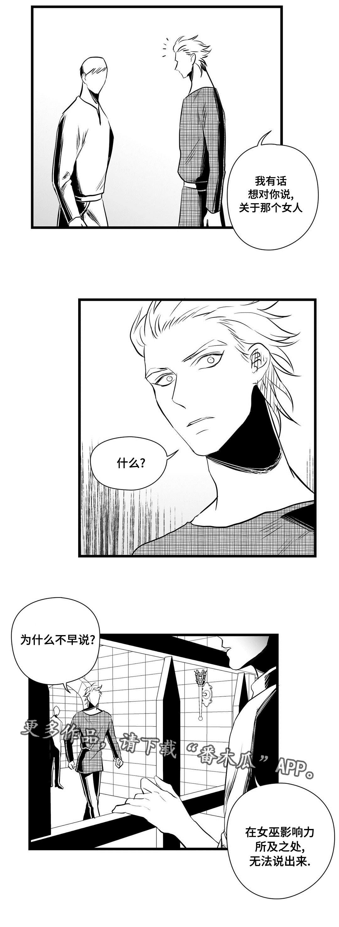 《巫师与王子》第31章那个女人 第9页