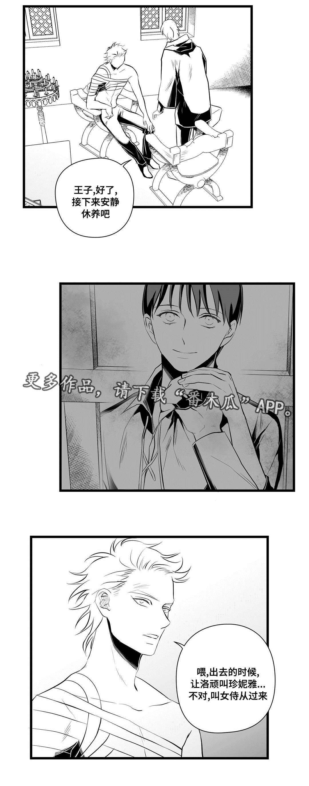 《巫师与王子》第35章一模一样 第13页