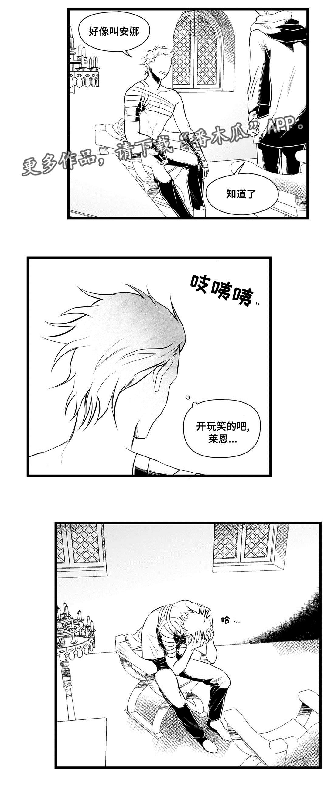 《巫师与王子》第35章一模一样 第14页