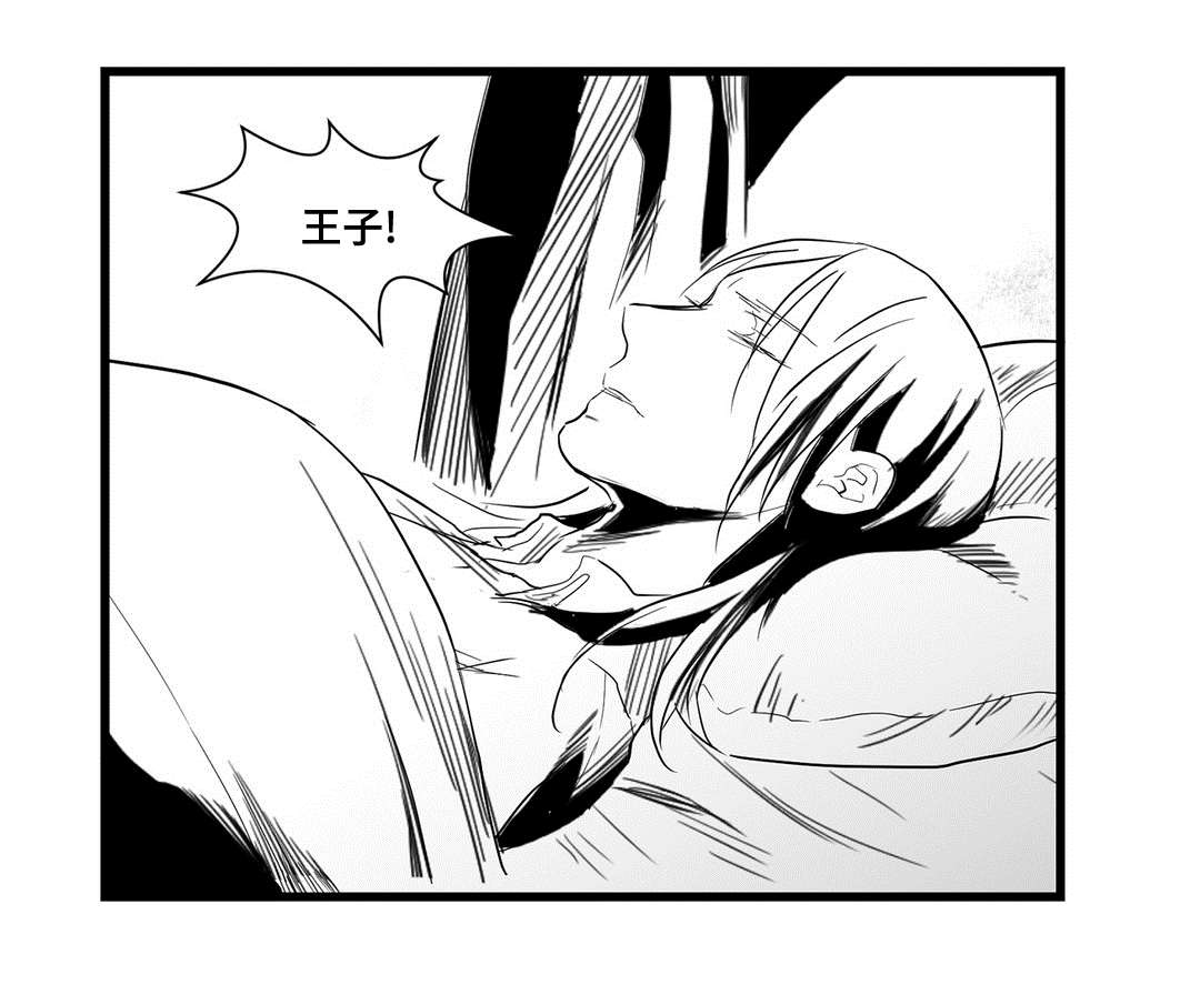 《巫师与王子》第35章一模一样 第1页
