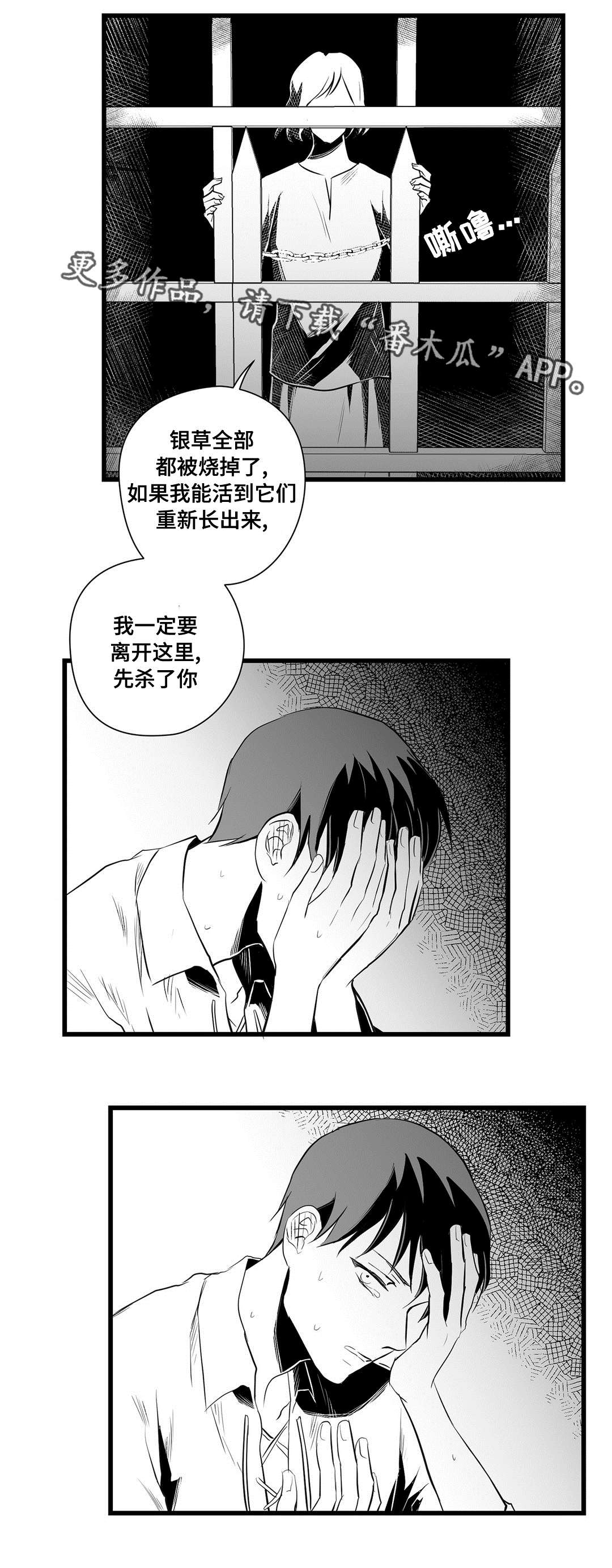 《巫师与王子》第35章一模一样 第4页