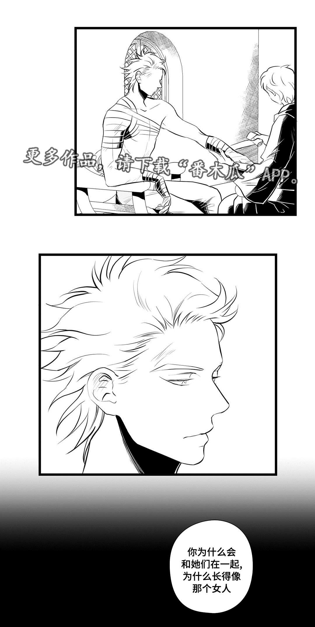 《巫师与王子》第35章一模一样 第7页