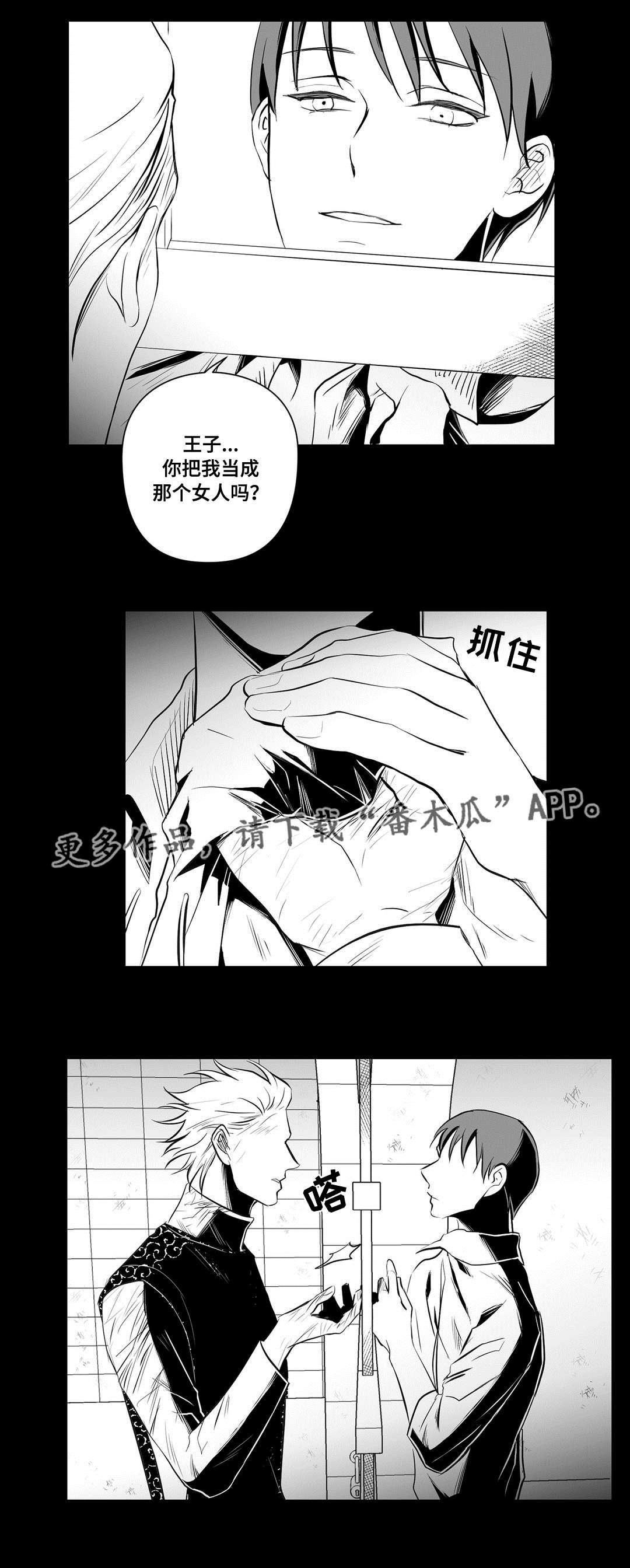 《巫师与王子》第35章一模一样 第8页