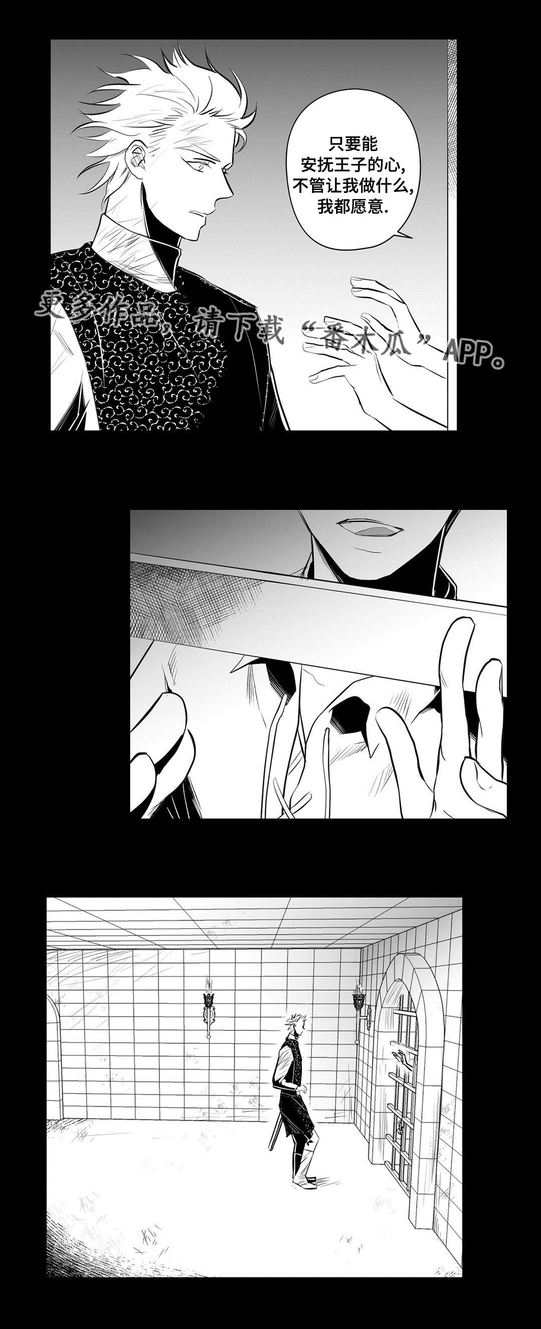 《巫师与王子》第35章一模一样 第9页