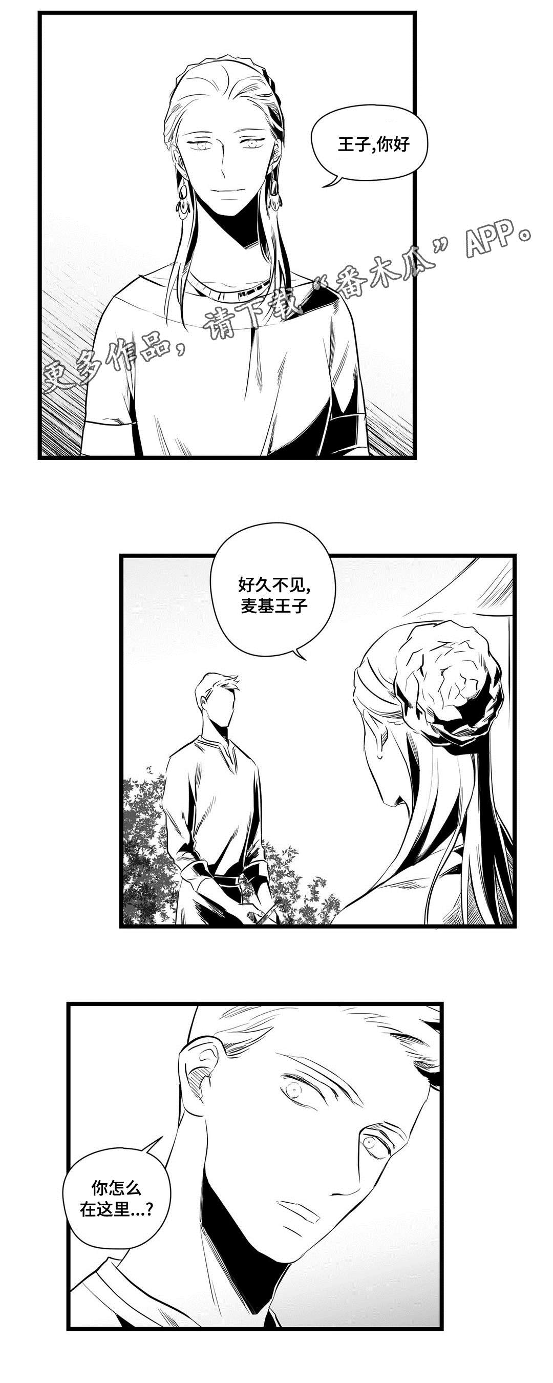 《巫师与王子》第36章隐瞒着什么 第11页