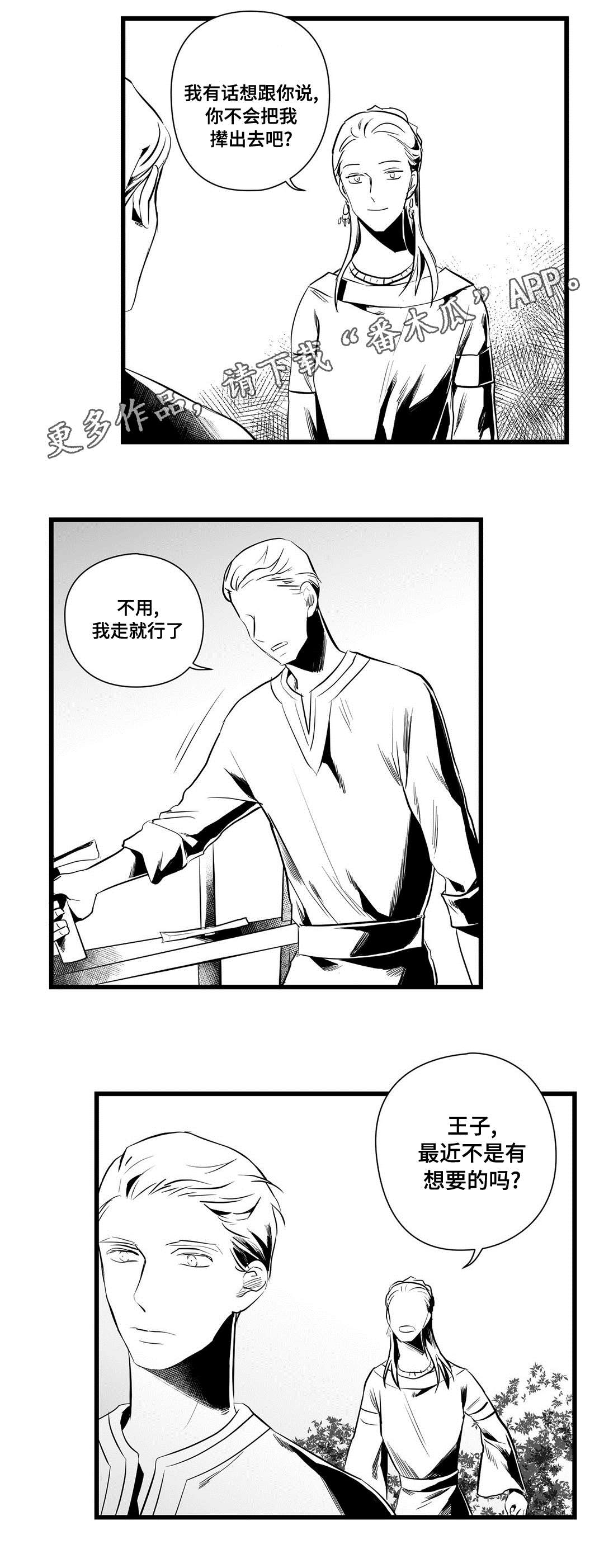 《巫师与王子》第36章隐瞒着什么 第12页