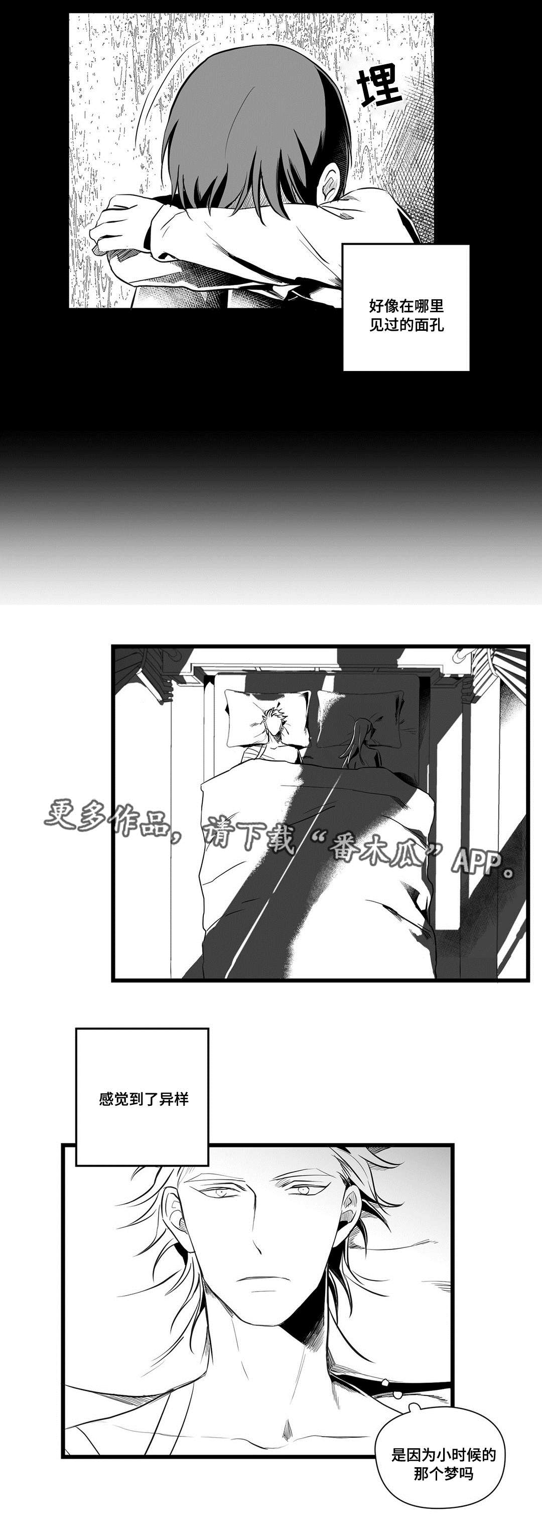 《巫师与王子》第36章隐瞒着什么 第2页