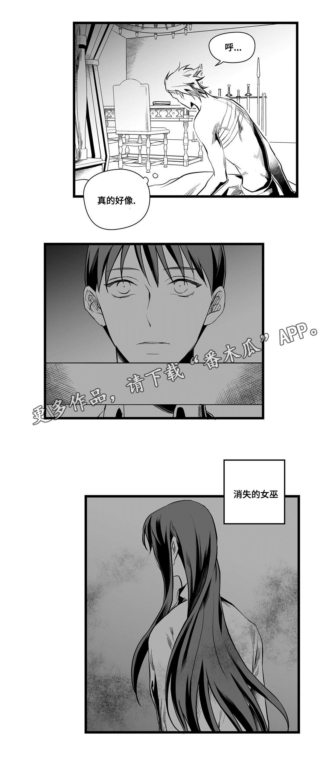 《巫师与王子》第36章隐瞒着什么 第3页