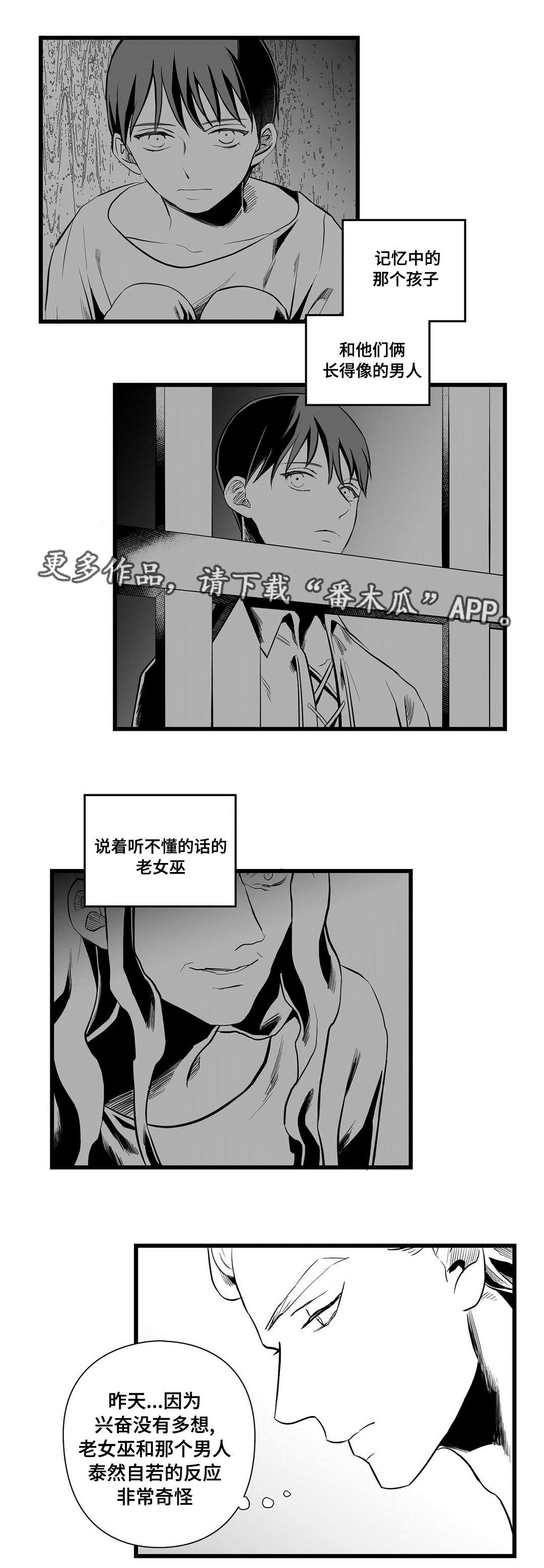 《巫师与王子》第36章隐瞒着什么 第4页