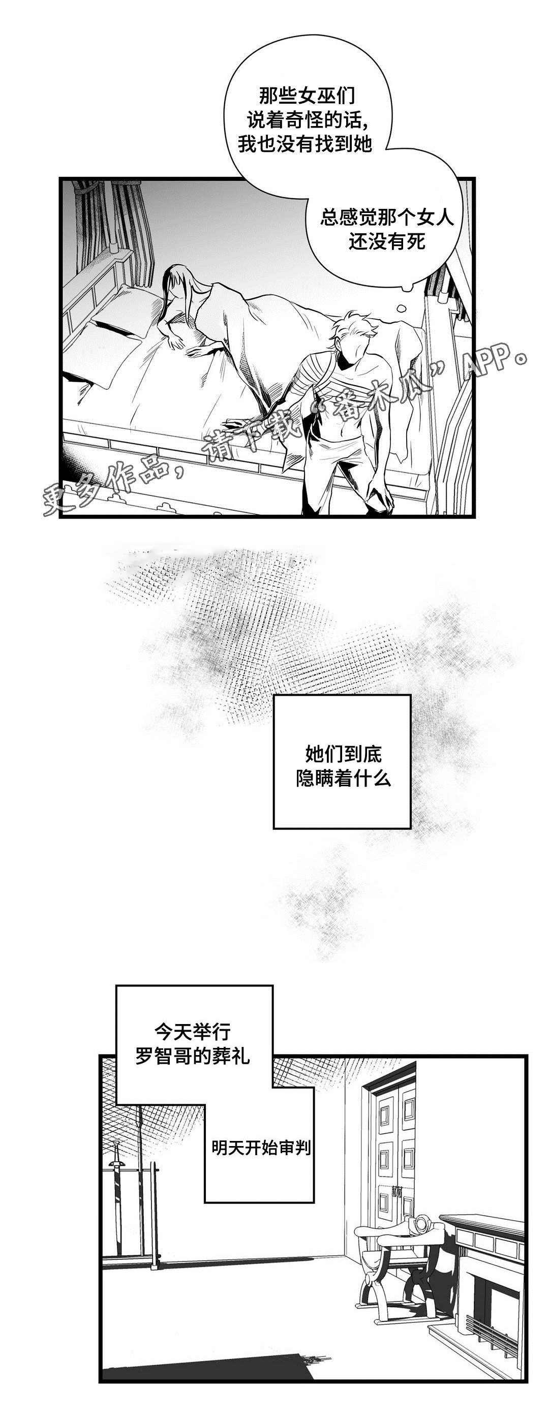 《巫师与王子》第36章隐瞒着什么 第5页