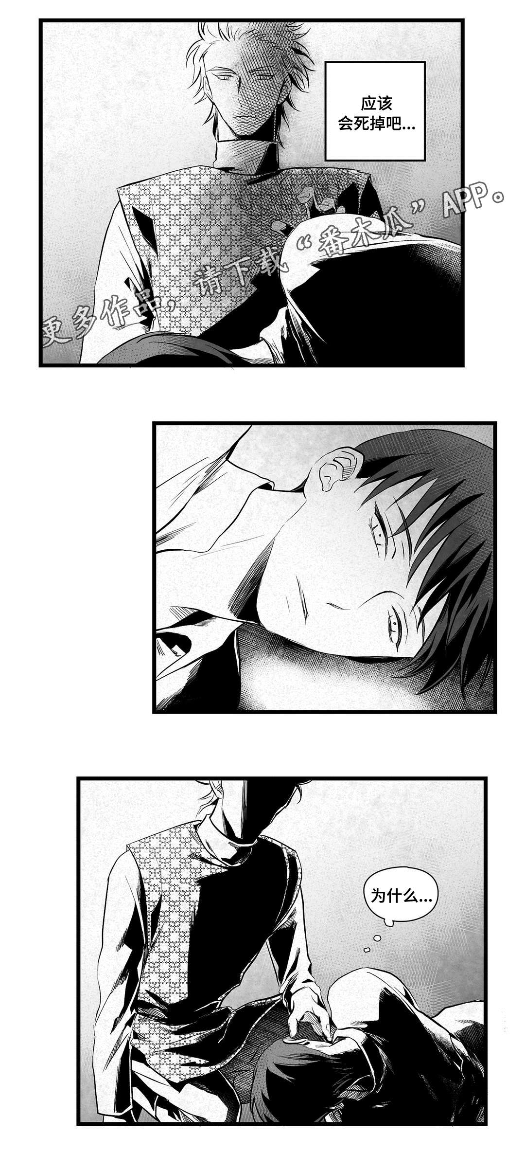 《巫师与王子》第36章隐瞒着什么 第7页